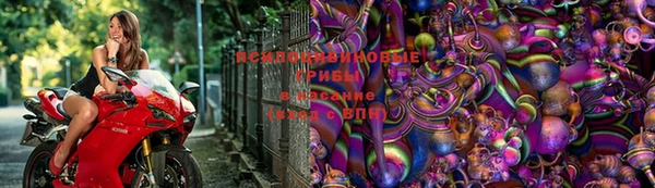 МДПВ Заволжье